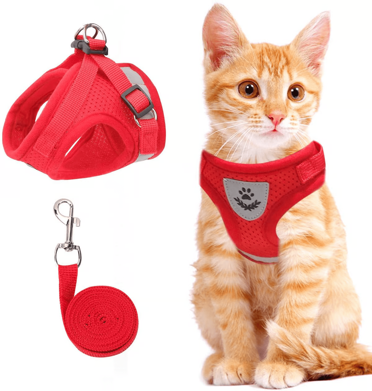 Adjustable Breathable Luminous Purrfect Feline Freedom