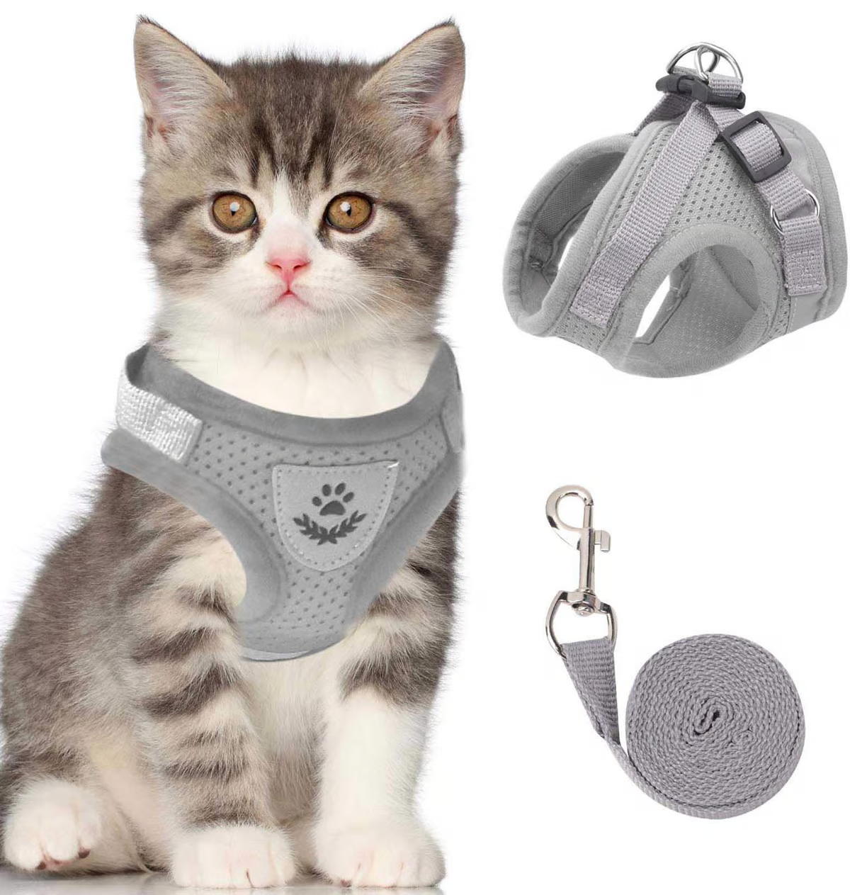 Adjustable Breathable Luminous Purrfect Feline Freedom