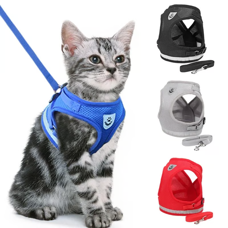 Adjustable Breathable Luminous Purrfect Feline Freedom
