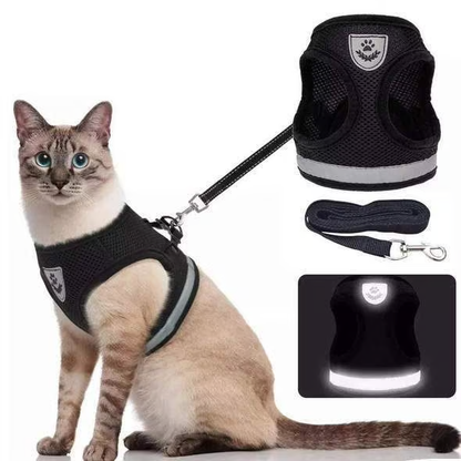 Adjustable Breathable Luminous Purrfect Feline Freedom