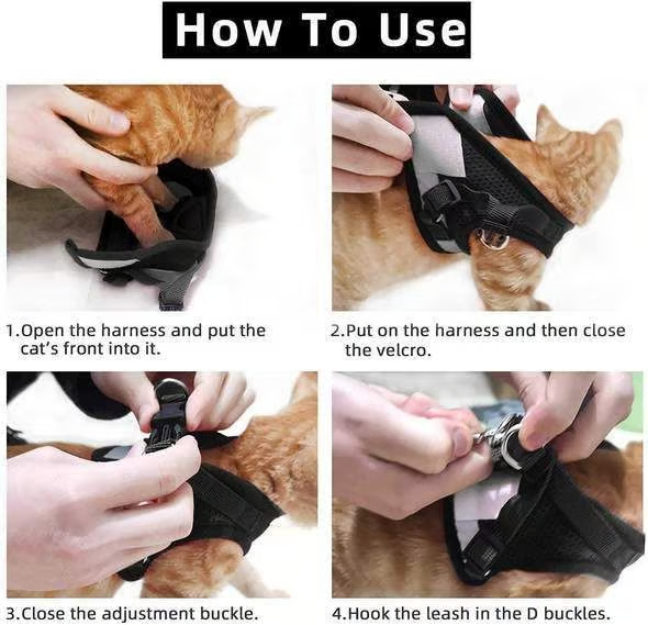 Adjustable Breathable Luminous Purrfect Feline Freedom