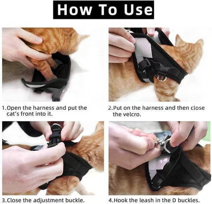 Adjustable Breathable Luminous Purrfect Feline Freedom