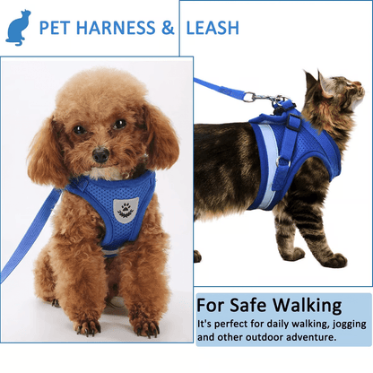 Adjustable Breathable Luminous Purrfect Feline Freedom