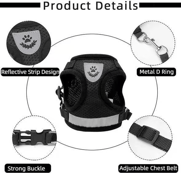 Adjustable Breathable Luminous Purrfect Feline Freedom