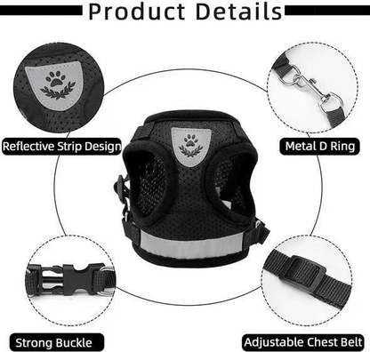 Adjustable Breathable Luminous Purrfect Feline Freedom