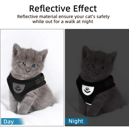 Adjustable Breathable Luminous Purrfect Feline Freedom