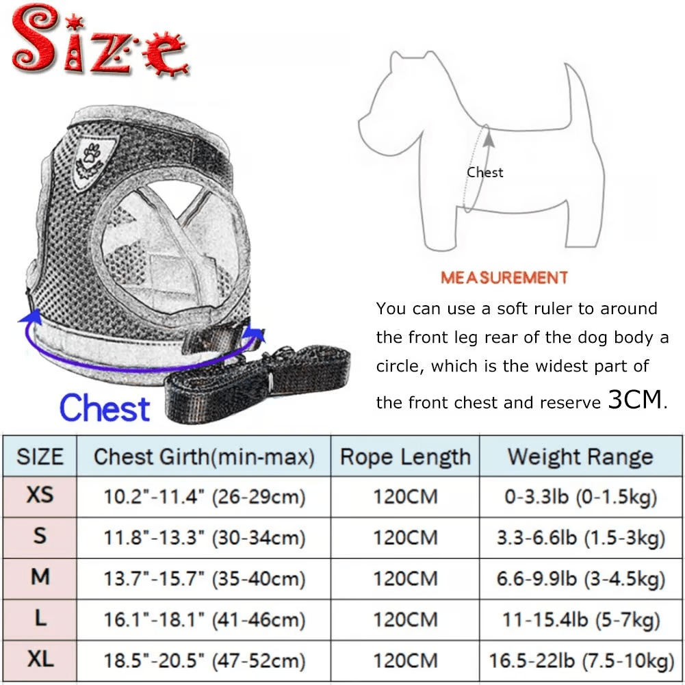 Adjustable Breathable Luminous Purrfect Feline Freedom