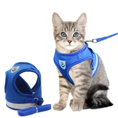 Adjustable Breathable Luminous Purrfect Feline Freedom
