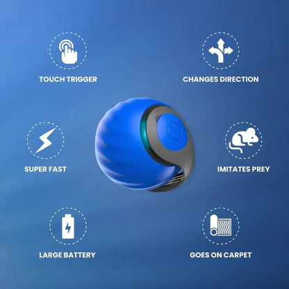 SpeedyTail 2.0™ - Smart Cat Toy (3PCS)